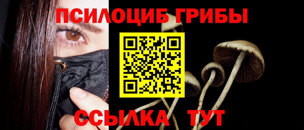 Галлюциногенные грибы прущие грибы  Вход с VPN  Зеленогорск 