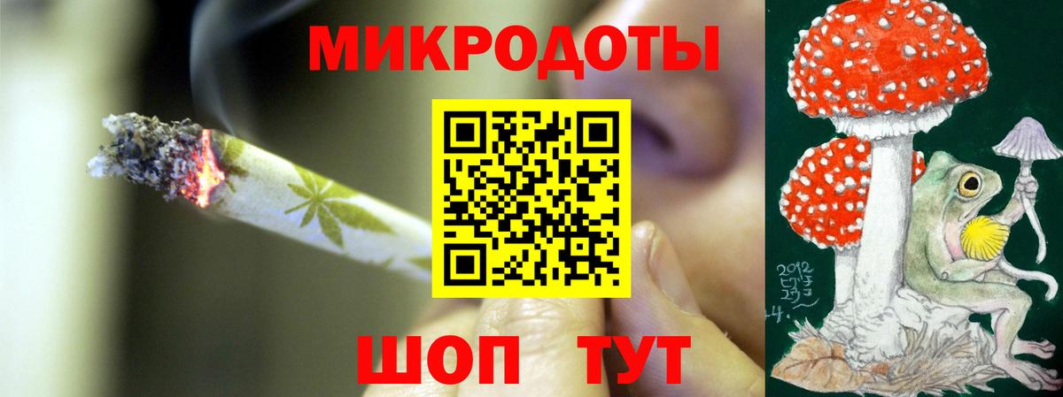 Галлюциногенные грибы прущие грибы Зеленогорск